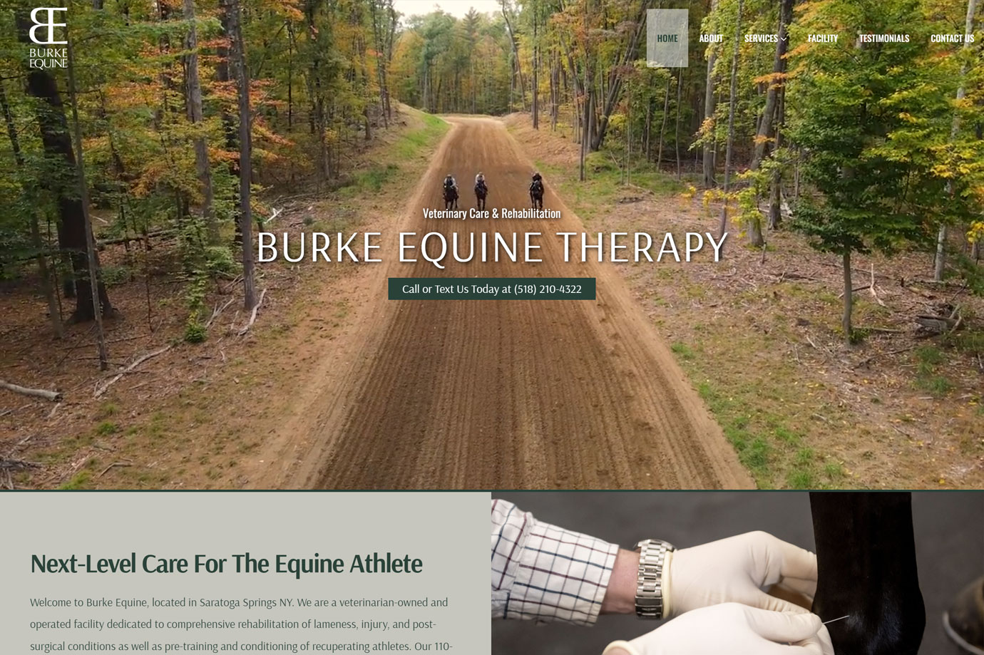 burke-equine1